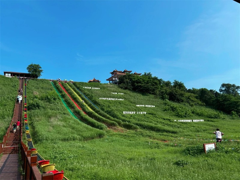 轨道滑草